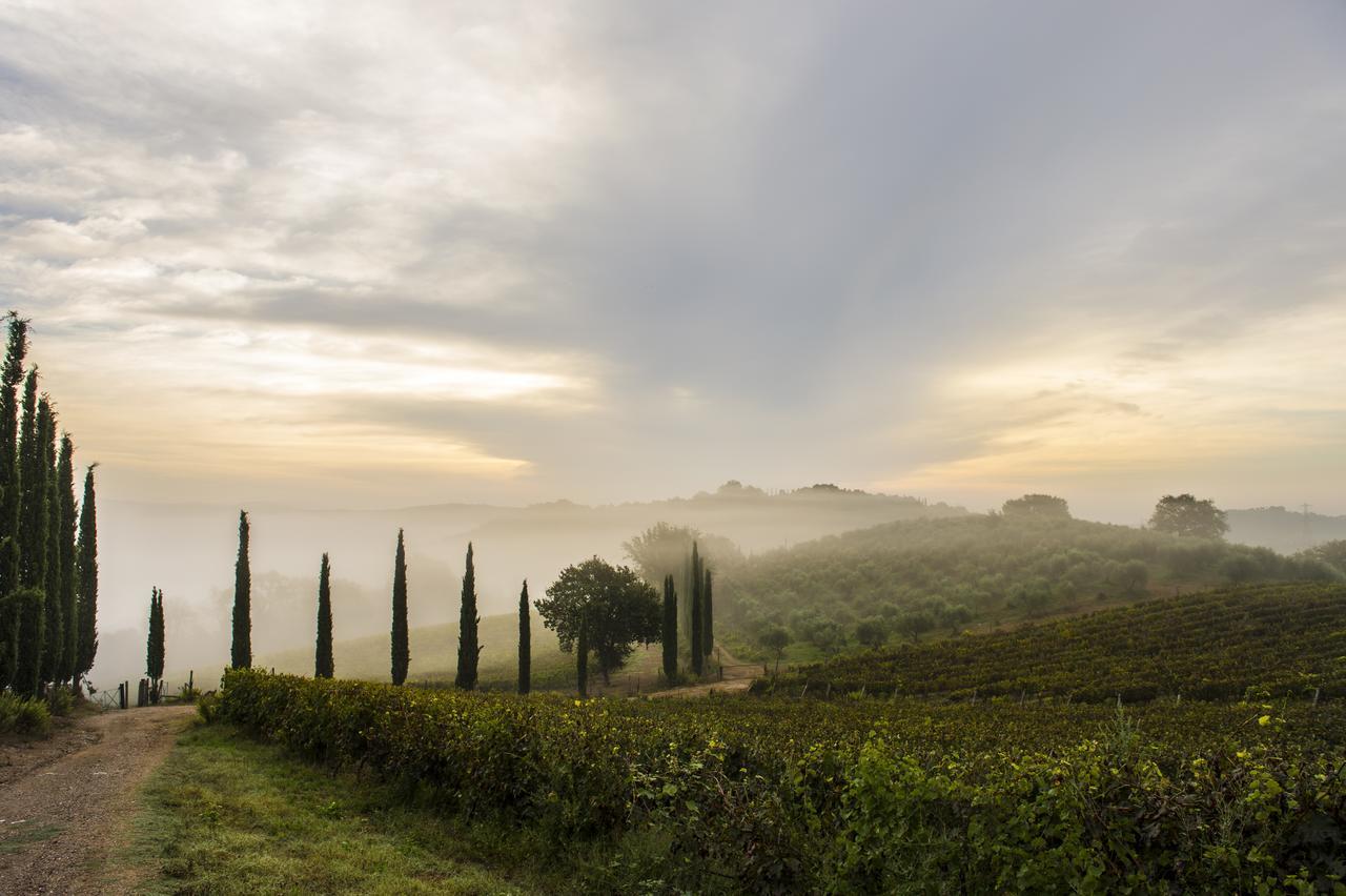 Agriturismo Poggio Corbello La Pesta المظهر الخارجي الصورة