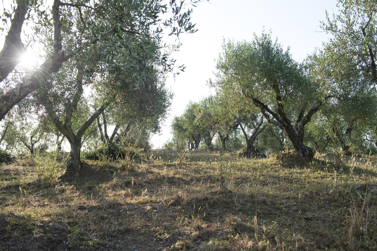 Agriturismo Poggio Corbello La Pesta المظهر الخارجي الصورة