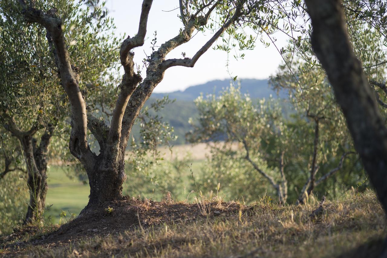 Agriturismo Poggio Corbello La Pesta المظهر الخارجي الصورة