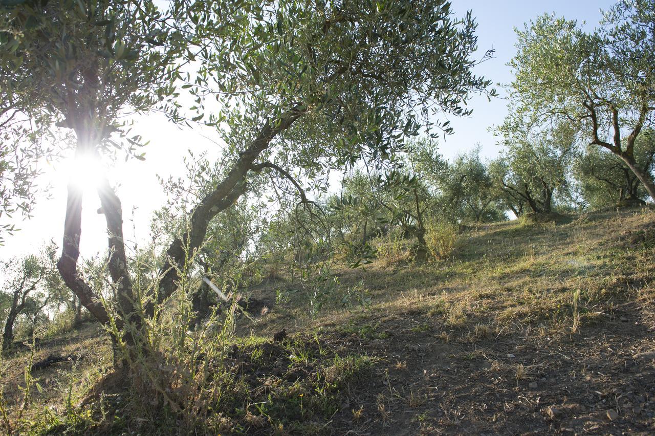 Agriturismo Poggio Corbello La Pesta المظهر الخارجي الصورة