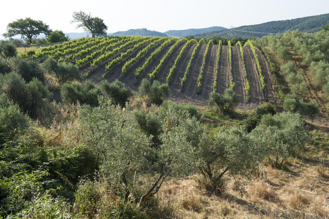Agriturismo Poggio Corbello La Pesta المظهر الخارجي الصورة