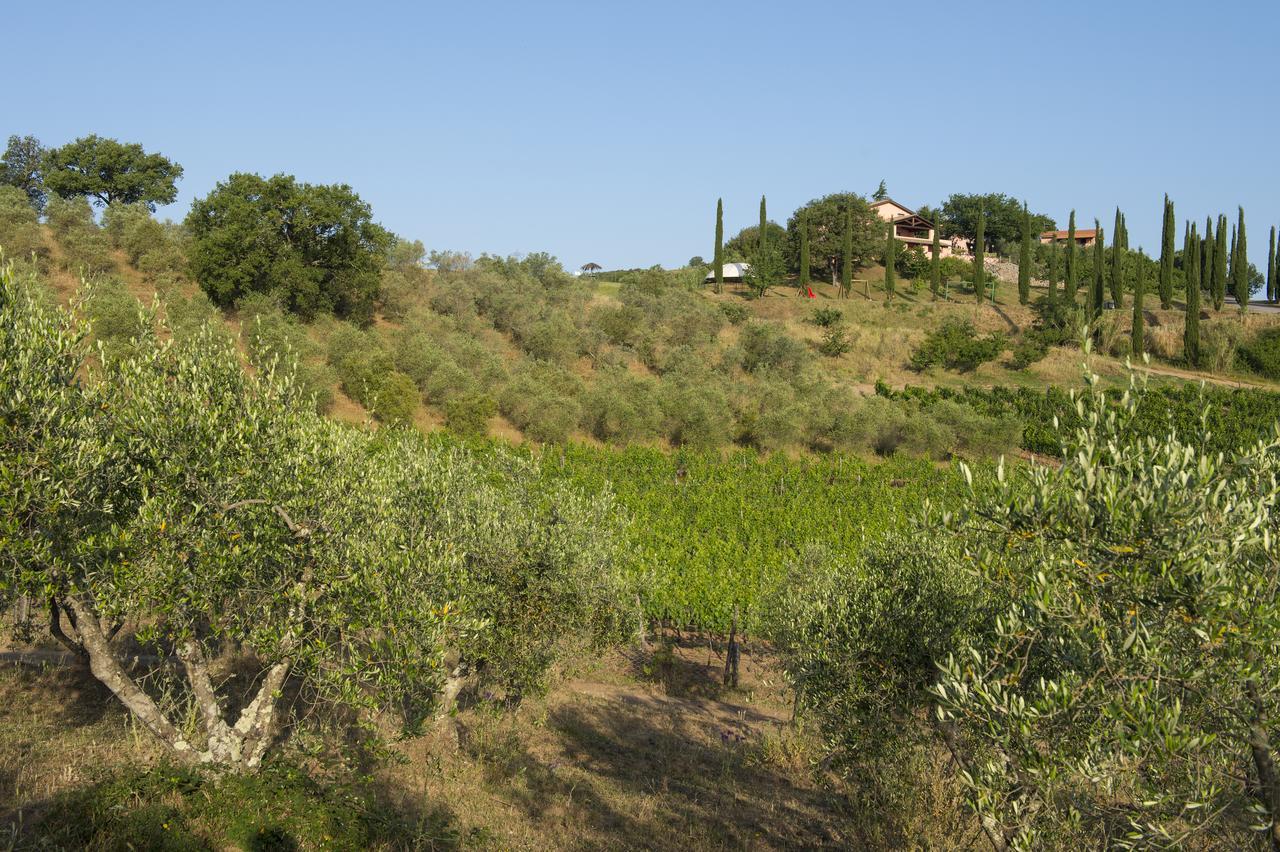 Agriturismo Poggio Corbello La Pesta المظهر الخارجي الصورة