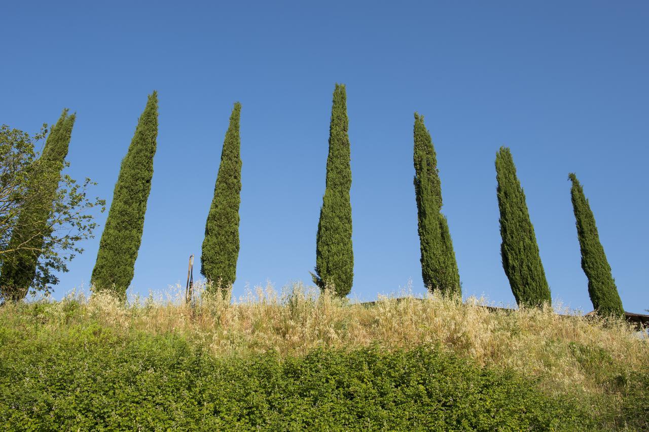 Agriturismo Poggio Corbello La Pesta المظهر الخارجي الصورة